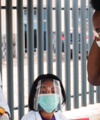 Community Health Extension Workers (CHEW)